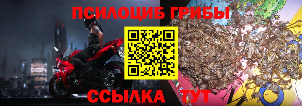 Галлюциногенные грибы ЛСД  Вход с VPN  Псилоцибиновые грибы Psilocybine cubensis  Можайск 